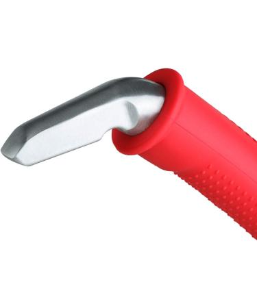 Valorcielo Auto Cane Portable Vehicle Support Handle | 300 lb Capacity | Red - Buy Online on GoSupps.com