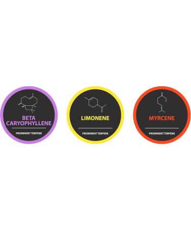 Sativa Blend - Pure Terpenes - 10ml - Buy Online on GoSupps.com