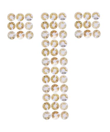 minkissy 54 Boxes Nail Art Accessories Gold Glitter Metal Nail Art Nail Stickers Punk Stickers False Nail Manicure Charm Nail Charm Decals Nail Jewelry Disc Plastic White Rivet