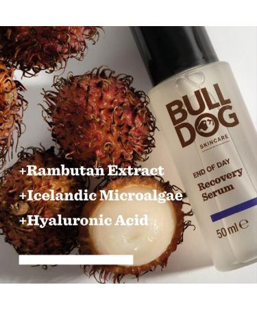 BULLDOG SKINCARE End Of Day Recovery Serum for Men Reduce fine lines and moisturize 60ml x 3 Pack - Buy Online on GoSupps.com