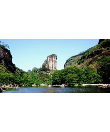 250g (0.55LB) Oolong Th Anxi Guan Yin Chinois th Th vert Tieguanyin Tikuanyin th wu-long - Buy Online on GoSupps.com