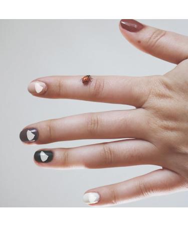 NUOBESTY Breloques pour Nail Art Verre Concass 200 G Irr gulier Transparent Remplissage poxy DIY Accessoires Manucure Loisirs Cr atifs - Buy Online on GoSupps.com