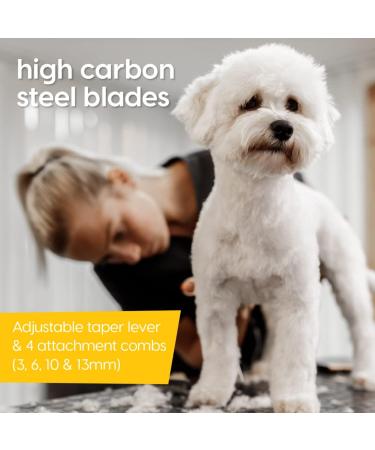 Animal Planet 59509 Corded Professional Pet Clippers Kit and Accessories/Dog & Cat Fur Trimmer/High Precision Low Noise Shaver - Buy Online on GoSupps.com