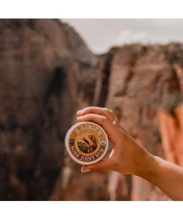 Badger Company Organic Sore Joint Rub with Arnica - 0.75 oz for Pain Relief - Buy Online on GoSupps.com