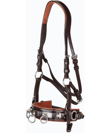 Heinick-Reitsport Professional Leather Cavesson with Bit Strap Nosepiece - Brown-Chestnut for Warmbloods | International Shipping Available - Buy Online on GoSupps.com