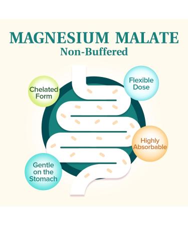 NatureMyst Magnesium Malate Chelated Form Highly Absorbable Non-Buffered Gentle on Stomach for Adults & Children Flexible Dose Energy Production Nerve & Muscle Function 240 Vegan Capsules - Buy Online on GoSupps.com