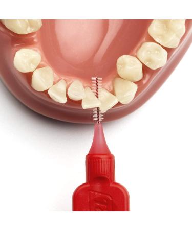 TePe Interdental Brushes - 10 Pack (80 Brushes) | Best for Oral Hygiene & Fresh Breath | International Shipping Available - Buy Online on GoSupps.com