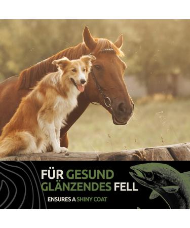 Greenpet Salmon Oil for Dogs & Horses - 1L Omega-3 Fish Oil for Shiny Fur & Vital Skin | Premium Norwegian Salmon Oil for Optimal Fur Care - Buy Online on GoSupps.com
