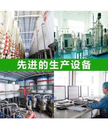 Zercumm Xylitol 500g Food Grade Low Calorie Sugar-Free Sugar Substitute Functional Sweetener Baking Raw Materials - Buy Online on GoSupps.com