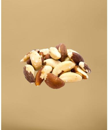 Buy Dry Paranese Nuts 500g from Bolivia | Untreated Raw & Natural Crunchy Snacks | Healthy Snacking Options | International Shipping - Buy Online on GoSupps.com
