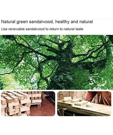 Compasty New Magnetic Acrylic Manicure Tools Nail Practice Hand Nail Exercise Base Nail Supplies Nail Tips Gold Display Stand - Buy Online on GoSupps.com