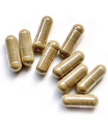 Organic Milk Thistle | Extra Strong 1350mg/Day | Regenerating Liver Protection Detox Digestion | 120 Capsules of 450mg | Top Quality - Buy Online on GoSupps.com