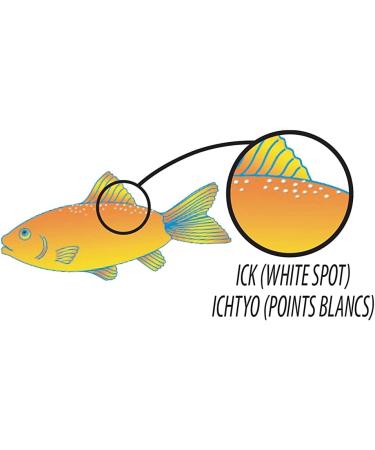 Tetra Ick Guard - 8 Count Quick Remedy for Aquarium Ick - Buy Online on GoSupps.com