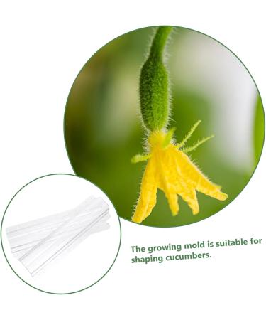 Toddmomy Horticulture 9 pcs Gardening Strawberry Ovens Cucumber Plastic Grow Heart Star Alien Modeling Fruit - Buy Online on GoSupps.com