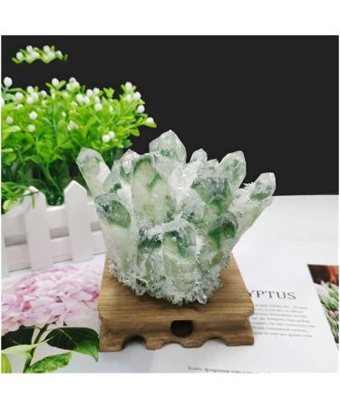 Natural Crystal Rough Stone Crafts Green Ghost Phantom Quartz Crystal Cluster Specimen (Size : 300-400g) - Buy Online on GoSupps.com