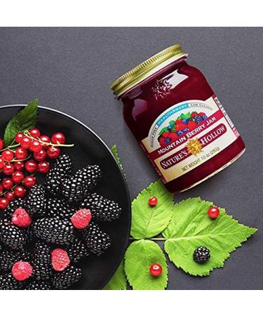 Nature's Hollow Sugar-Free Mountain Berry Jam Preserves 10oz - 2 Pack | Non GMO, Keto Friendly, Vegan & Gluten Free - Buy Online on GoSupps.com