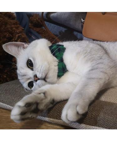 Green Plaid Cat Collar Breakaway with Bell and Bow Tie - Adjustable Safety Collar for Kitty and Kitten (6.8-10.8in) - Buy Online on GoSupps.com