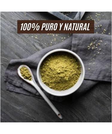 INKANAT Hemp Protein Powder 200g BIO 100 Natural & Vegan Vegetable Protein from Hemp Seed Rich in Fiber Omega 3 & 6 Ideal for Smoothies & Shakes - Buy Online on GoSupps.com