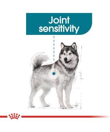 Royal Canin Maxi Joint Care food for dogs prone to joint sensitivity (3kg) - Buy Online on GoSupps.com