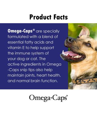 HealthyPets Omega Caps HP Snip Tips for Medium & Large Dogs - 60 Twist-tip Capsules - Buy Online on GoSupps.com