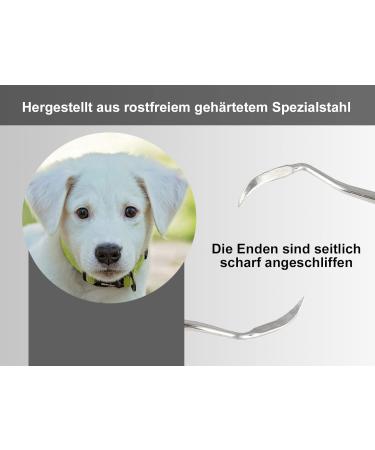 Large Dog Tooth Cleaner & Tartar Remover - Stainless Steel Dental Scaler for Pets - Buy Online on GoSupps.com