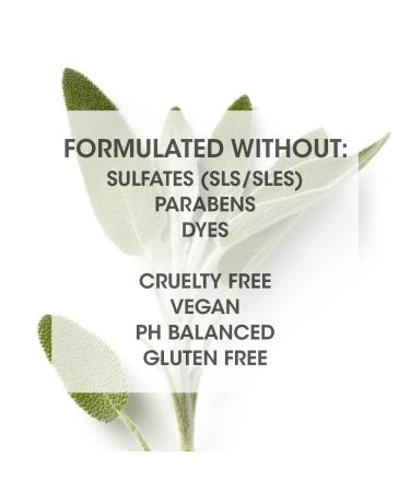 SEVEN Haircare Gazar BALANCE Co-Wash | Aloe Vera & Coconut Oil | Sulfate & Paraben Free Cleansing for Curly Hair - Buy Online on GoSupps.com