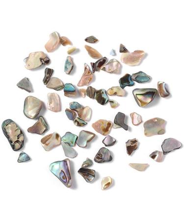 Conijiwadi Irregular Conch Pearl Nail Sticker Set High Brightness Nail Decals Kit Nail Art Beauty Supplies - Buy Online on GoSupps.com