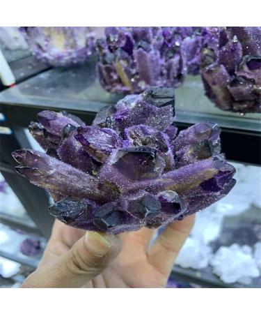 Natural Crystal Rough Specimen 300-400g Natural Purple Ghost Phantom Quartz Crystal Cluster Rock Stones and Crystals ReikiSpecimen HomeStone (Size : 400-500g) - Buy Online on GoSupps.com