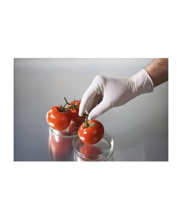 Large Shamrock Latex Medical Grade Powder Free Gloves | Fully Textured, Strong Latex | Size Large - Buy Online on GoSupps.com
