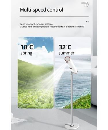 Standing Hair Dryer Portable Negative Ion Hair Dryer Remote Control Intelligent Constant Temperature 5 Speeds Wind 5 Levels of Temperature Double Air Outlet for Travel Curly Hair - Buy Online on GoSupps.com