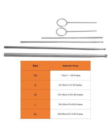 Snake Probes 6 Piece Professional Probe Set Stainless Steel Round Head Anti Allergy Reptiles Snake Sexing Probe Snake Probe Kit for Veterinary - Buy Online on GoSupps.com