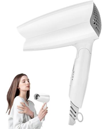 Hair Dryer - Blow Dryer | 220v Small Hair Care Blow Dryer | Compact Travel Hair Dryer | Small Hair Dryer For Travel | Below 36db Blue Light Negative Ion Dormitory Hair Blow Dryer Brushless 800w - Buy Online on GoSupps.com