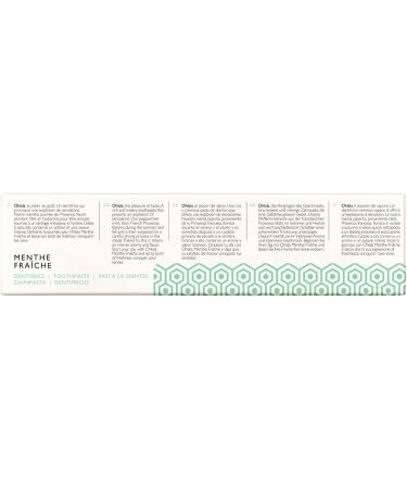 Fresh Mint Toothpaste 100 Ml - Buy Online on GoSupps.com
