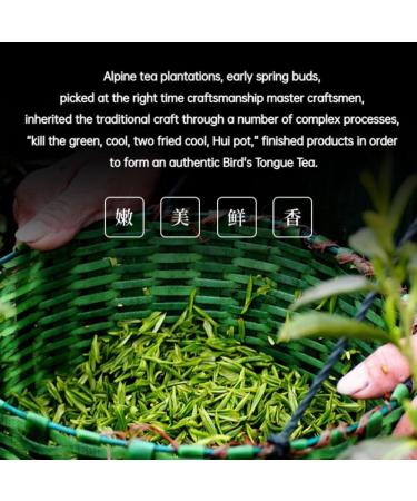 HQZMC Premium Green Tea With Delicate Flavor 100g 352 Oz Loose Mao Feng Tea Grade 1 - Buy Online on GoSupps.com