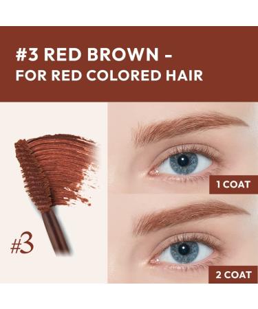 ETUDE HOUSE Color My Brows 3 Red Brown 4.5g | Eyebrow Mascara for Natural Makeup | Kbeauty 0.15 Ounce - Buy Online on GoSupps.com