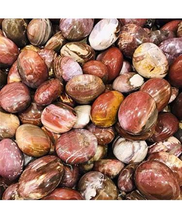 1pc Natural red Silicified Wood Quartz Crystal Palm Size Tumbled Stone Crafts for Decorative Gift Natural Stones and Minerals - Buy Online on GoSupps.com