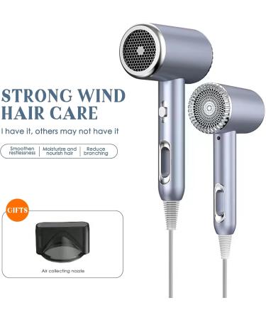 Layhou Negative Ion Hair Dryer Mothers Day Gifts 1600W Fast Drying Hair Care Blow Dryer Hairdryers 2 Speeds 3 Heat Settings with Concentrator Nozzle for Home and Salon Use(Silver) - Buy Online on GoSupps.com