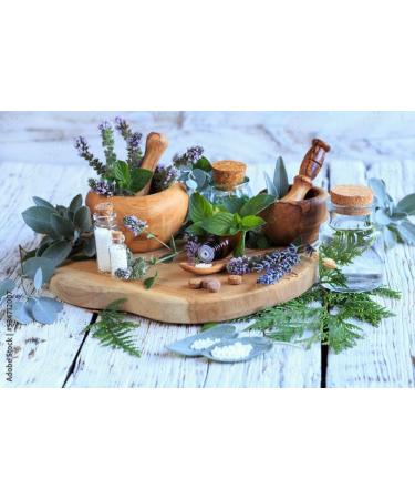 Thuja D6 - Natural Energetic Remedy for Self-Love | Versatile Use & International Shipping - Buy Online on GoSupps.com