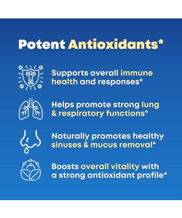 Mullein Leaf Extract & NAC Lung Detox Cleanse- N-Acetyl Cysteine Marshmallow Root Bromelain - Lung Health Sinus Mucus Removal Support Supplement for Smokers - 90 Capsules Non-GMO Gluten-Free - Buy Online on GoSupps.com