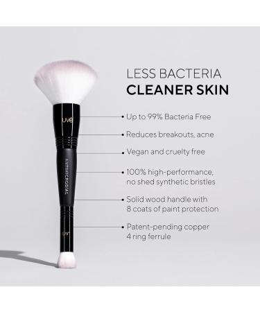 Beauty Essentials 5 Brush Set - Premium Vegan Makeup Brushes for Flawless Blending | Ideal for Powder Blush Concealers & Eyeshadow - Buy Online on GoSupps.com