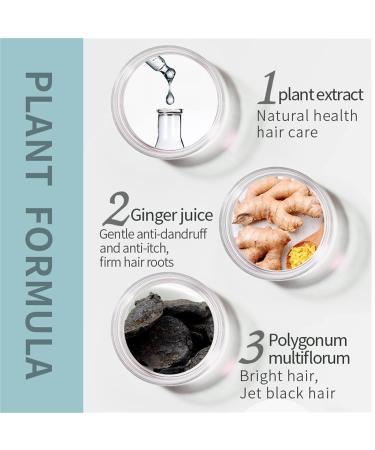 Ginger Hair Regrowth Shampoo Bar for Men & Women - 2Pcs | Hair Loss Treatment | Darkening Solid Shampoo Bar with Polygonum Multiflorum - Buy Online on GoSupps.com