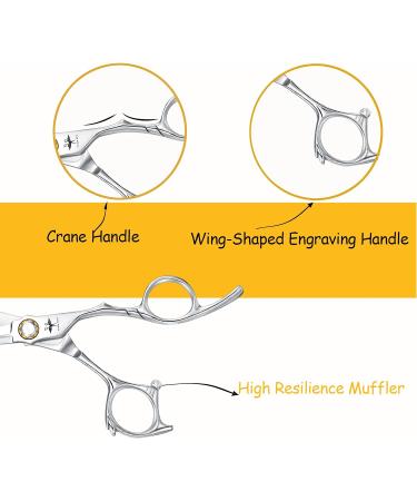 PURPLEBIRD 6 Inch Hairdressing Scissors - Professional Japanese Stainless Steel Barber Scissors for Salon, Men, Women, Children - A-6 Shear - Buy Online on GoSupps.com