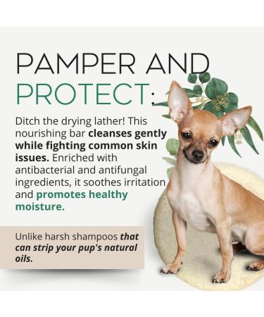 Natural Dog Shampoo Bars for Coat Care 2.5 oz Bar No Artificial Ingredients Vegan & Cruelty-Free (Deodorizing Cedarwood and Eucalyptus) - Buy Online on GoSupps.com