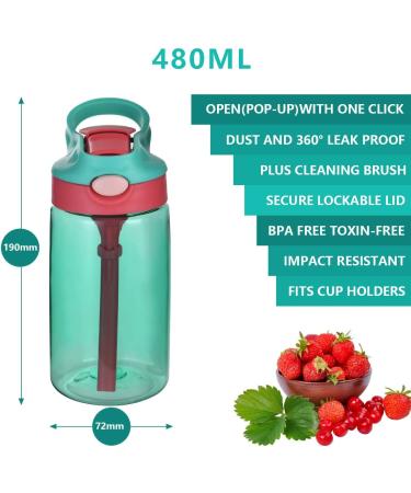 Flintronic Sippy Cup 480ML Kids Drink Bottle - Leak-Proof, Shatter-Proof, BPA-Free - Green (Brush Included) - Buy Online on GoSupps.com