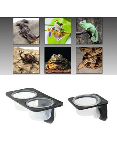 Serenable 3 PCS Reptile Amphibians Chameleon Lizard Feeding Ledge Bowls Double Dish with Suction Cup - Buy Online on GoSupps.com