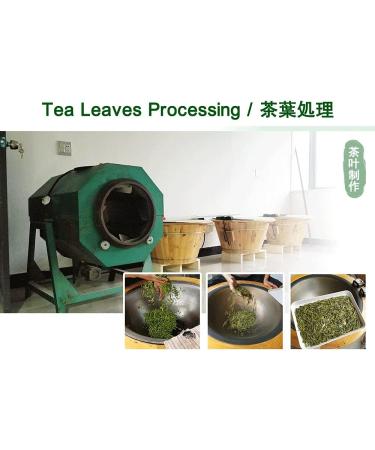 Premium Xihu Longjing Green Tea Leaves 125g - Freshly Picked Before Qingming - Buy Online on GoSupps.com