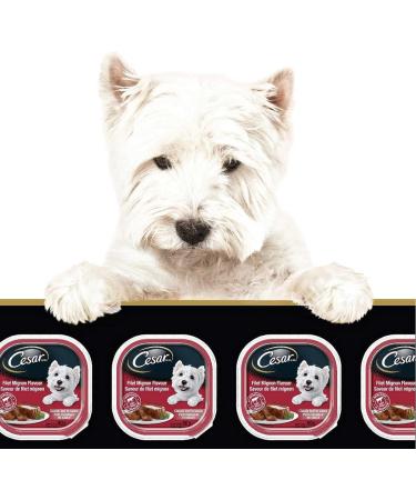 Cesar Food for Small Dogs Variety Product of U.S.A 36 X 100 Grams Net Wt 3600 Grams - Buy Online on GoSupps.com