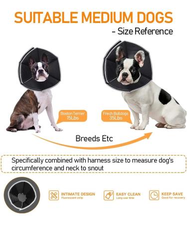 Ycozy Dog Cone Collar for Surgery Pet Recovery Collar for After Surgery Dogs Soft Recovery Collar Protective Collar for Large Dogs Elizabeth Collar Cone Wound Healing M | 13.5-15.5inches - Buy Online on GoSupps.com