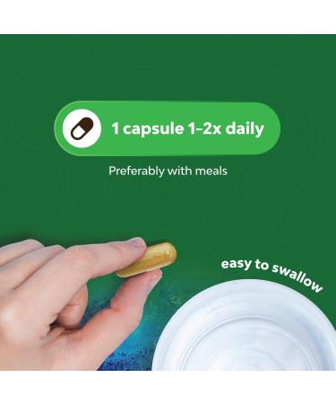 High Absorption Magnesium Complex Supplement - Pure Magnesium Citrate 500mg with Oxide for Sleep, Digestion & Mood Support - 500mg Capsules - Buy Online on GoSupps.com