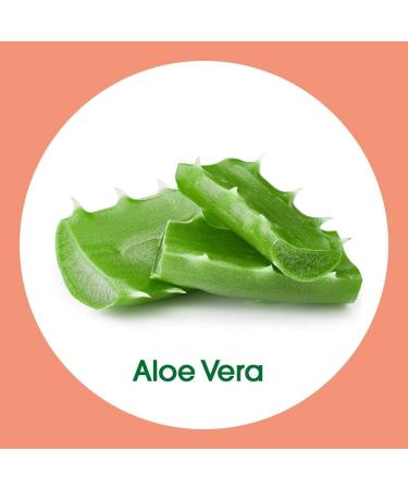 Sagrotan Aloe Vera Hand Soap Refill Bag Liquid Hand Soap 500 ml - Buy Online on GoSupps.com